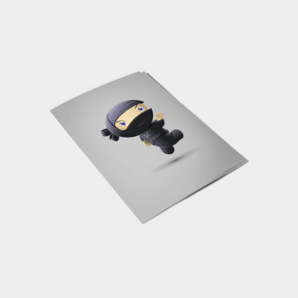 Flying Ninja – Image 2